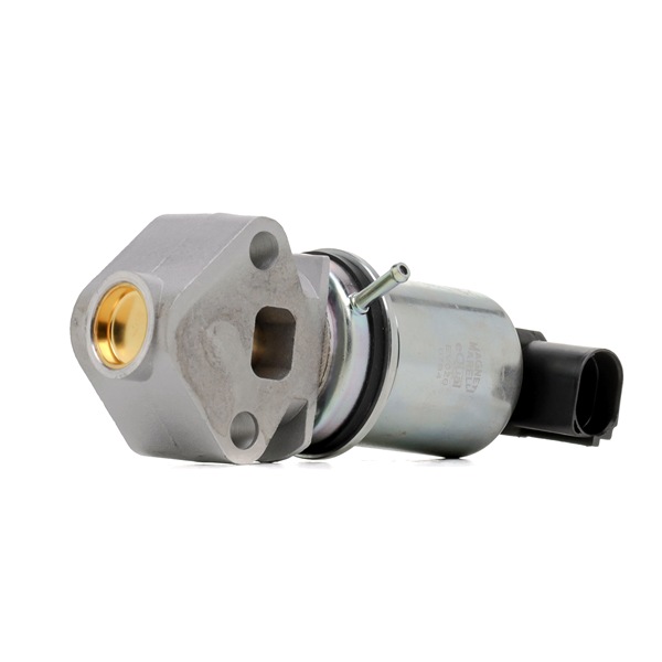 MAGNETI MARELLI 571822112020: AGR-Ventil